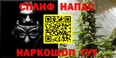 сатива Обнинск