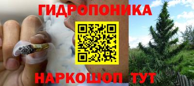 сатива Обнинск