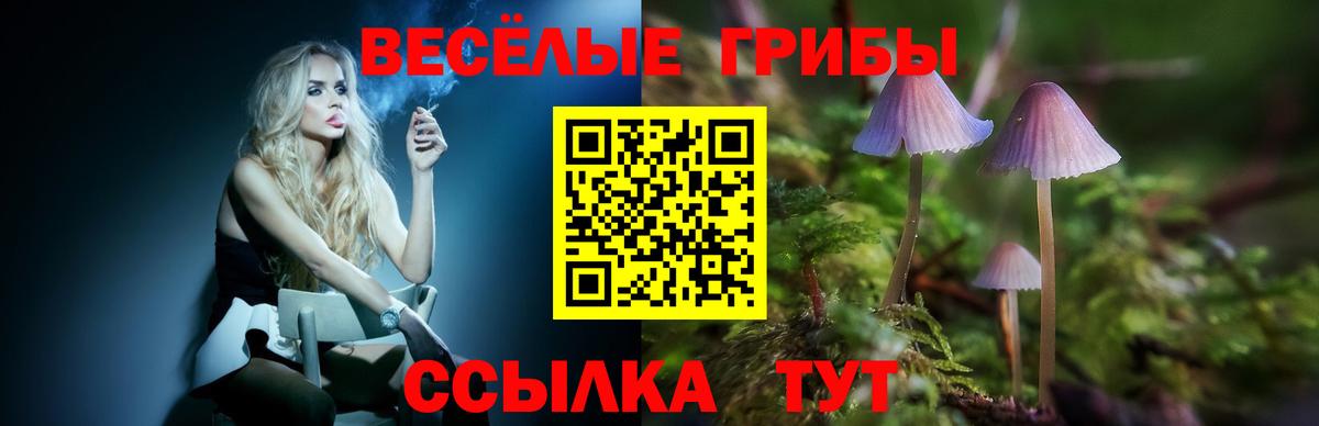 Псилоцибиновые грибы GOLDEN TEACHER Сергиев Посад